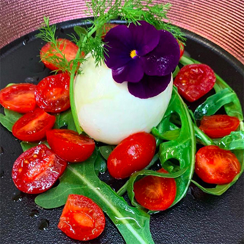 Büffelmozzarella mit Tomaten