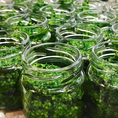 Hausgemachtes Pesto