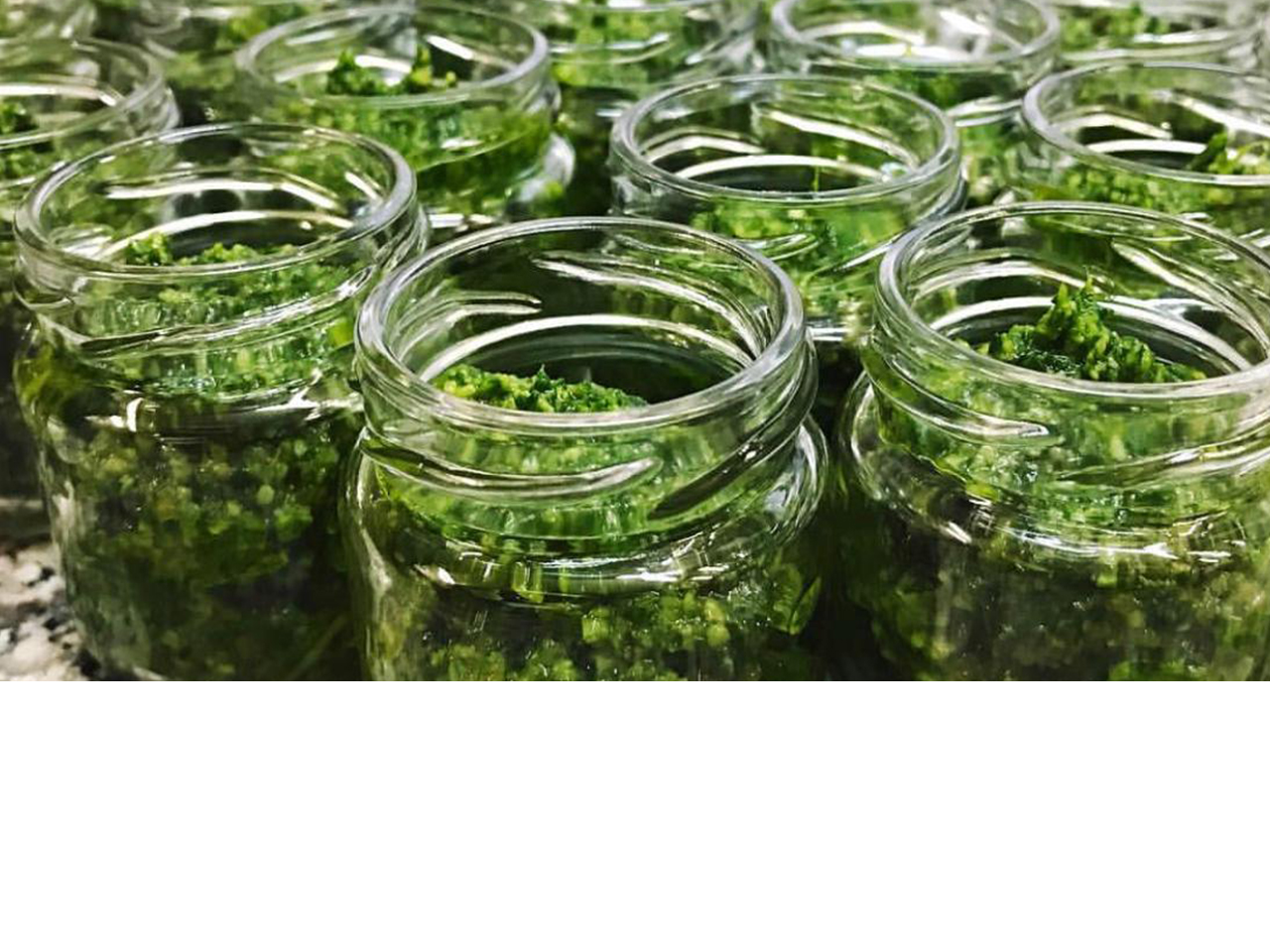 Gläser mit hausgemachtem Pesto